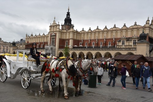 Krakow 2624 copy