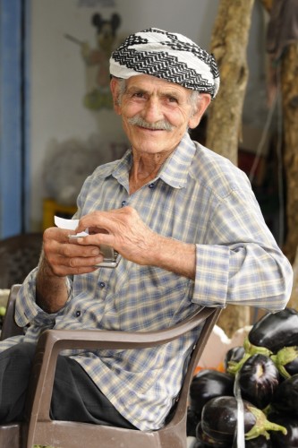Syria 8