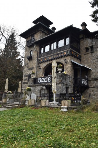 Romania Peles     8930 copy