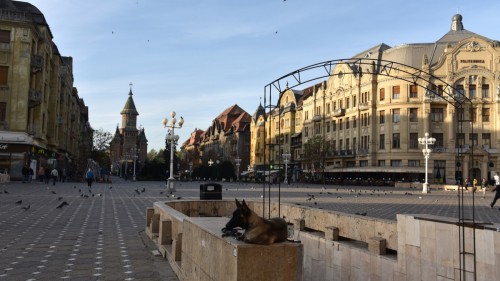 Romania Timisoara         8185 copy