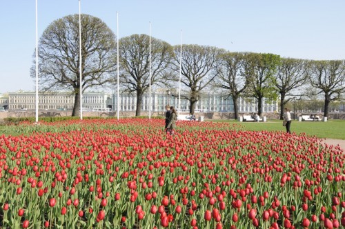 St. Petersburg