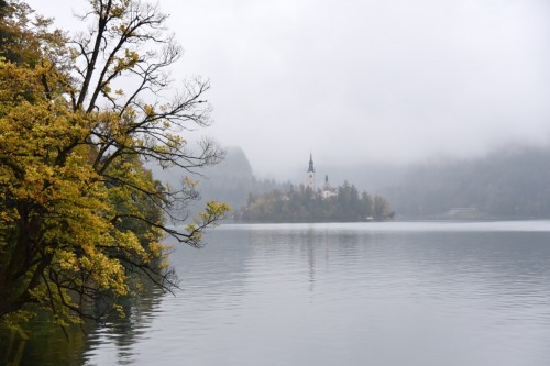 Slovenia Lake Bled 8718 copy