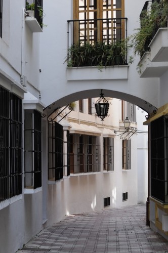 Marbella Spain 8843