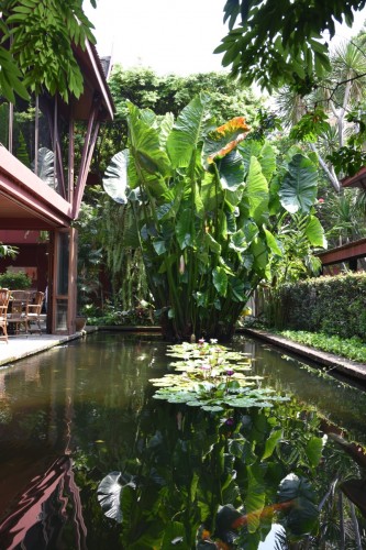 Thailand Bangkok 3938