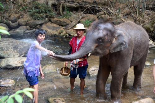 Thailand Chiangmai 3443 copy