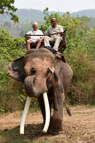 Thailand Chiangmai 3594 copy