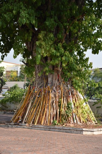 Thailand Chiangmai 3738