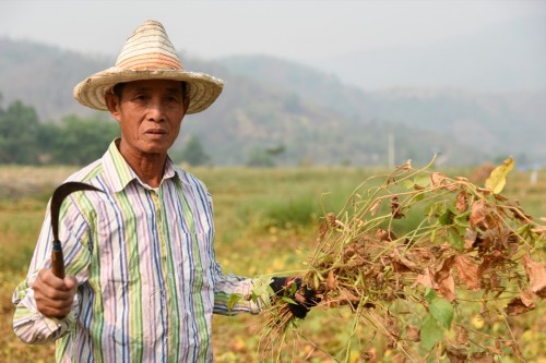 Thailand Chiangrai 2934 copy