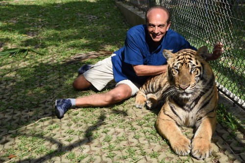 Thailand Phuket Tiger 2274 copy