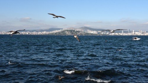 Istanbul Basphorus 6566 copy