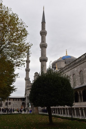 Istanbul Blue Mosque  6003 copy
