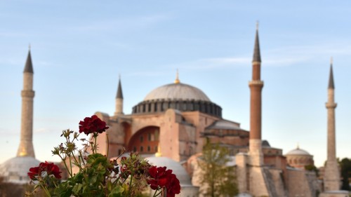 Istanbul Blue Mosque  6163 copy copy