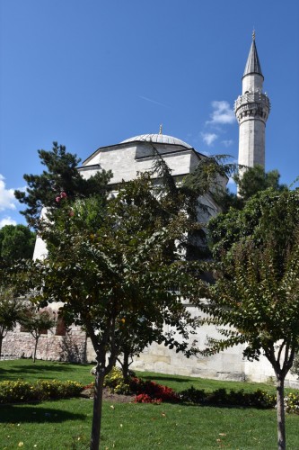 Istanbul Blue Mosque  6256 copy