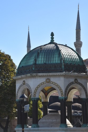 Istanbul Blue Mosque  6258 copy
