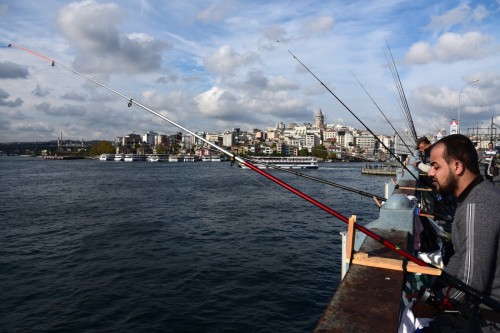 Istanbul 4465 copy