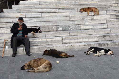 Istanbul 4565 copy