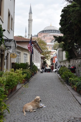 Istanbul 4593 copy