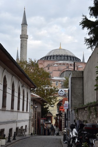 Istanbul 4594 copy