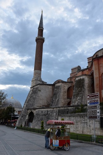 Istanbul 4617 copy