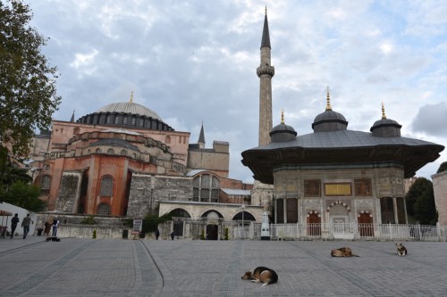 Istanbul 4619 copy