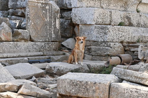 Ephesus 4030