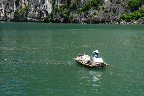Vietnam Halong Bay 5099 copy